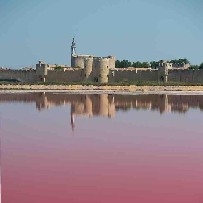 Maison Chaleureuse A 5 Mins Des Remparts エーグ・モルト エクステリア 写真