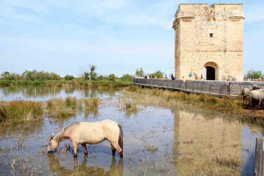 Maison Chaleureuse A 5 Mins Des Remparts エーグ・モルト エクステリア 写真