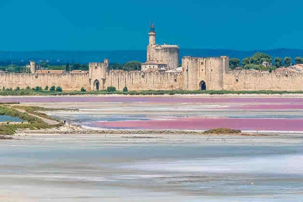 Maison Chaleureuse A 5 Mins Des Remparts エーグ・モルト エクステリア 写真